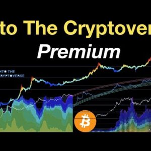 Into The Cryptoverse Premium