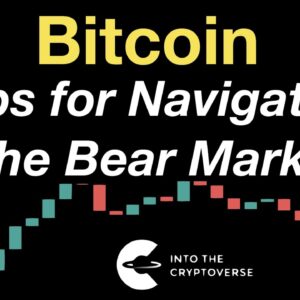 Bitcoin: Tips for Navigating the Bear Market [Updated]