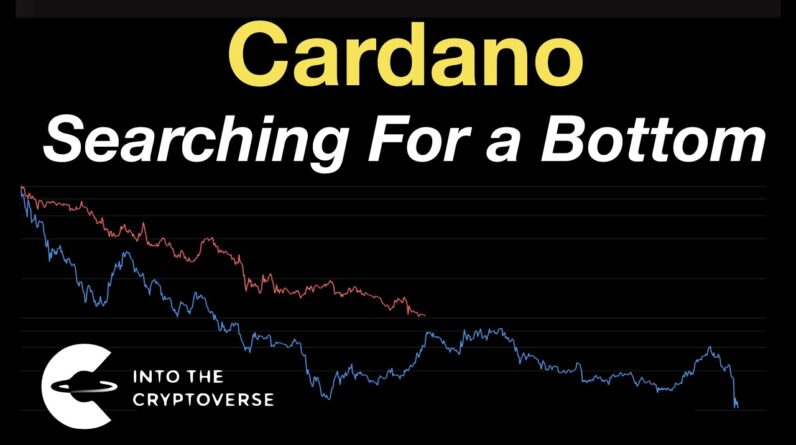 Cardano: Searching for a Cycle Bottom