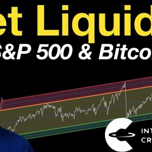Net Liquidity: S&P 500 and Bitcoin