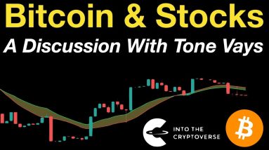 Bitcoin & Stock Outlook (A Discussion with Tone Vays)