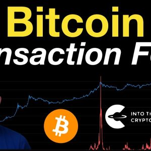 Bitcoin: Transaction Fees
