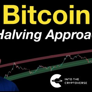 Bitcoin: The Halving Approaches